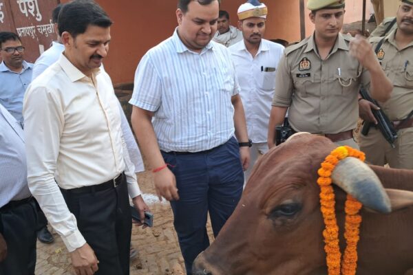 जिलाधिकारी ने अस्थाई गोवंश आश्रय स्थल का किया आकस्मिक निरीक्षण!