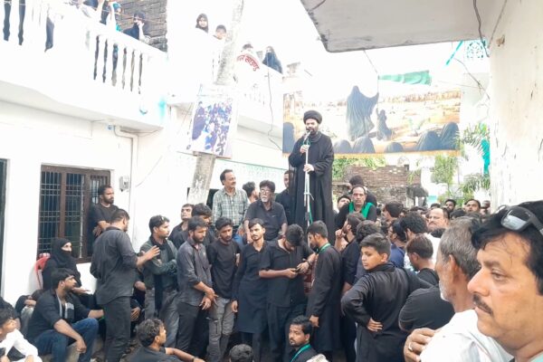 दहियावर में ऐतिहासिक जुलूस -ए अमारी का 69वां दौर सकुशल सम्पन्न